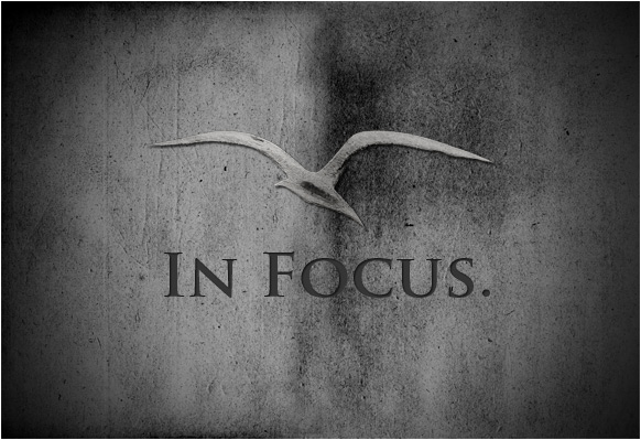 sigla-in-focus