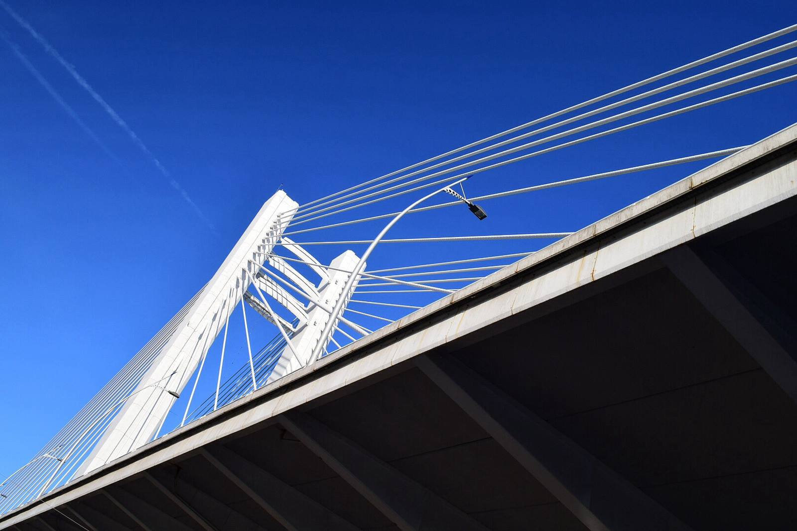 1973424_4005654916501_948763796_o