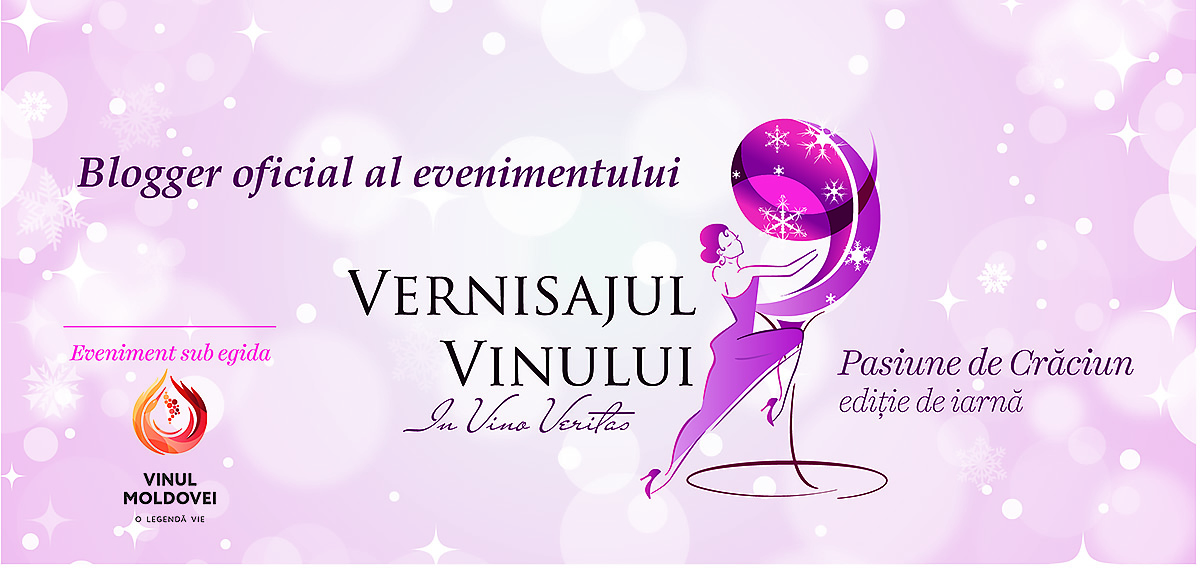 Baner vernisaj 2014 v. 6