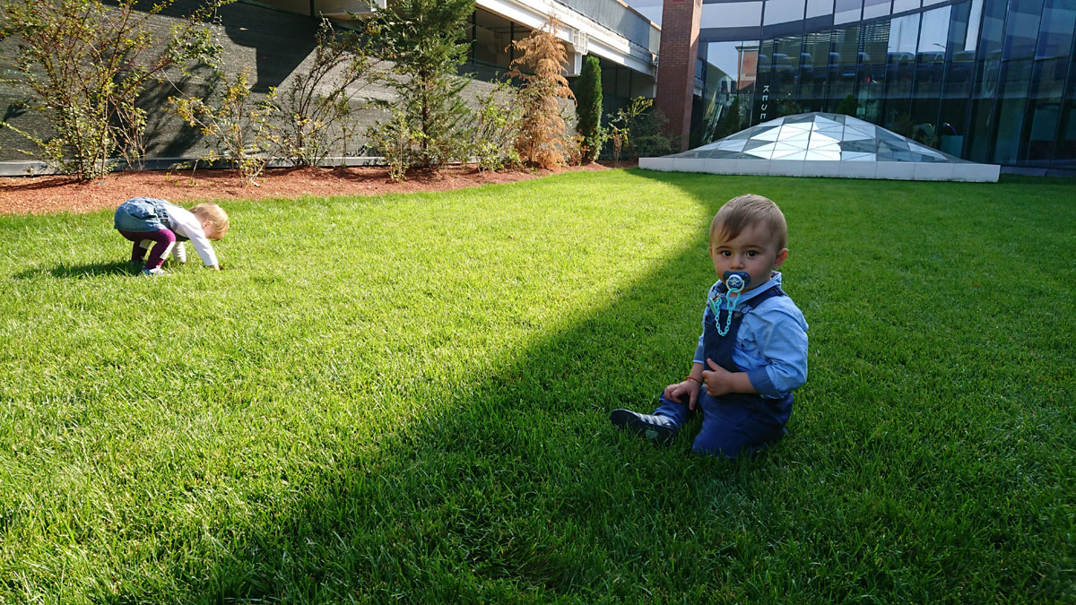 Sony Xperia XZ Dynamic Range