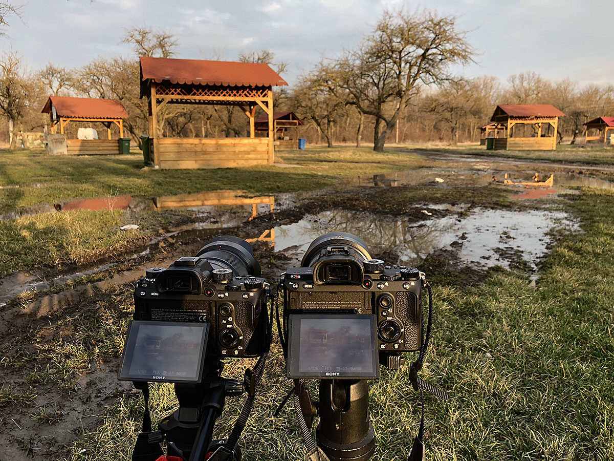 Sony A9 vs Sony A7R III