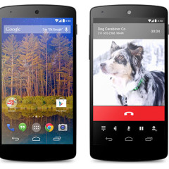 De ce a cumparat Google suita Nik Effects?