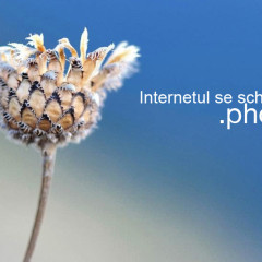 Internetul se schimba – Afla care sunt noile domenii