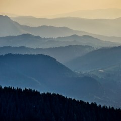 Ce a insemnat #priNeamt in 2014