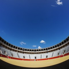 Review Samyang 8mm Fisheye F2.8 Sony E – un fisheye fantastic