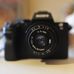 What model from the Sony Alpha 7 series best suits me?