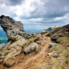 Explore the Elements