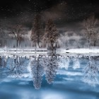 Alin Popescu mirrorless