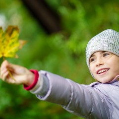 A story on Zeiss Batis 85 mm f/1.8