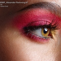 PhaseOne cu senzor Sony de 100 MPx