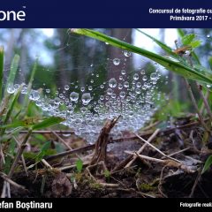 Rezultatele concursului Asus Zenfone