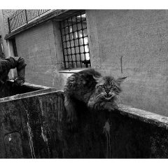 Portret de fotograf – Interviu Diana Maria