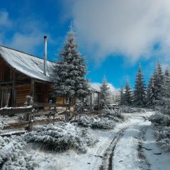 Câștigătorii concursului de fotografie ASUS ZenFone #WeLovePhoto